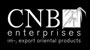  cnb Enterprise Markenshop 