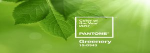 Pantone Farbe des Jahres "Greenery"