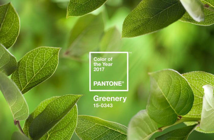 Trend: Pantone Farbe des Jahres "Greenery"