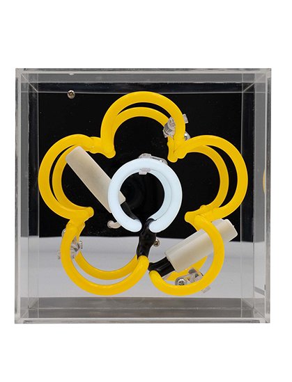 Neon Leuchte Daisy16 x 9 x16 cm von LOCOMOCEAN