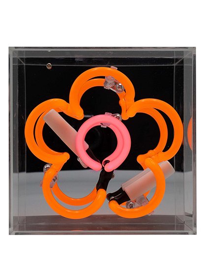 Neon Leuchte Daisy16 x 9 x16 cm von LOCOMOCEAN