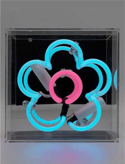 Neon Leuchte Daisy16 x 9 x16 cm von LOCOMOCEAN