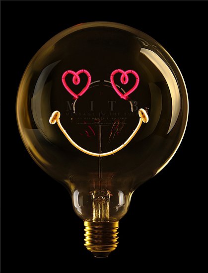 Message in a bulb17 x 12,5 cm von MESSAGEINTHEBULB