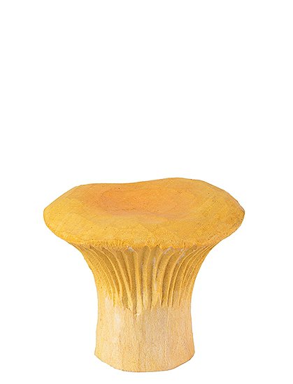 Möbelknopf Natur ca. 3 x 3 cm von WILDLIFE GARDEN