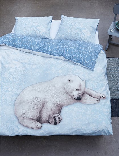 Eisbär Bettwäsche von COVERS & CO &#9733; Kundenbewertung "Sehr gut" &#9733; 10&euro; Rabatt für Neukunden &#9733; Schnell verschickt &#9733; Jetzt günstig kaufen bei car-Moebel.de