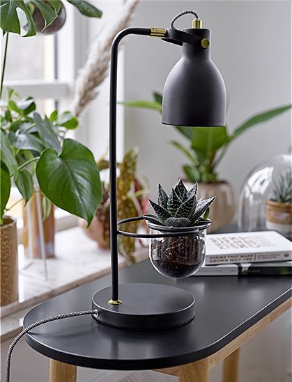 Tischleuchte in schwarz von Bloomingville &#9733; Kundenbewertung "Sehr gut" &#9733; 10&euro; Rabatt für Neukunden &#9733; Schnell verschickt &#9733; Günstig kaufen bei car-Moebel.de