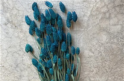 Trockenblumen Strauß &#9733; Kundenbewertung "Sehr gut" &#9733; 10&euro; Rabatt für Neukunden &#9733; Schnell verschickt &#9733; Jetzt günstig kaufen bei car-Moebel.de