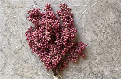 Trockenblumen Strauß &#9733; Kundenbewertung "Sehr gut" &#9733; 10&euro; Rabatt für Neukunden &#9733; Schnell verschickt &#9733; Jetzt günstig kaufen bei car-Moebel.de