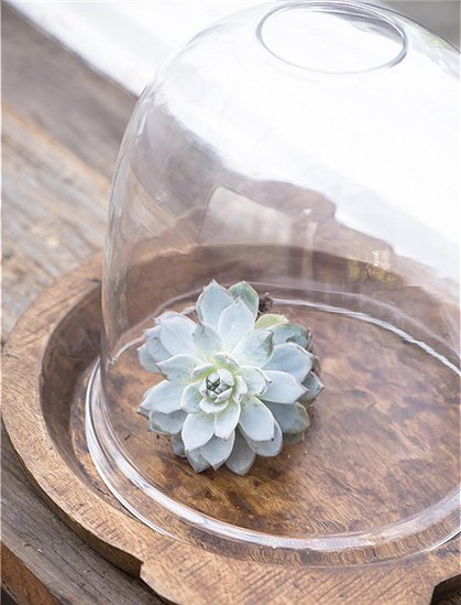 Glasglocke offen von Ib Laursen perfekt für Pflanzen &#9733; Kundenbewertung "Sehr gut" &#9733; 10&euro; Rabatt für Neukunden &#9733; Schnell verschickt &#9733; bei car-Moebel.de
