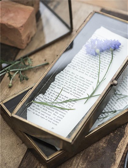 Glasschachtel von Ib Laursen &#9733; Kundenbewertung "Sehr gut" &#9733; 10&euro; Rabatt für Neukunden &#9733; Schnell verschickt &#9733; Jetzt günstig kaufen bei car-Moebel.de