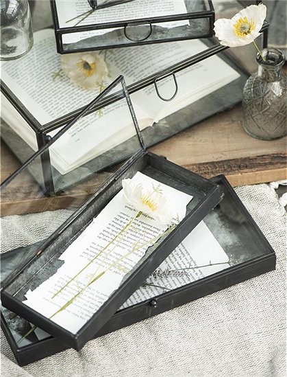 Glasschachtel von Ib Laursen &#9733; Kundenbewertung "Sehr gut" &#9733; 10&euro; Rabatt für Neukunden &#9733; Schnell verschickt &#9733; Jetzt günstig kaufen bei car-Moebel.de