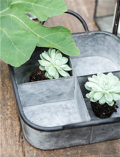Tablett 4 Fächer Urban Garden von Ib Laursen &#9733; Kundenbewertung "Sehr gut" &#9733; 10&euro; Rabatt für Neukunden &#9733; Schnell verschickt &#9733; Günstig bei car-Moebel.de
