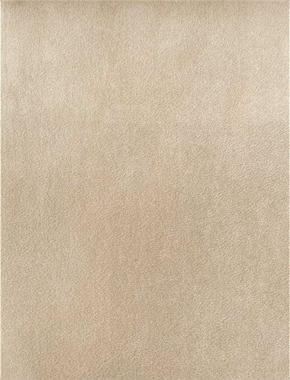 Polsterbett SUN von Coming Kids &#9733; Kundenbewertung "Sehr gut" &#9733; 10&euro; Rabatt für Neukunden &#9733; Schnell verschickt &#9733; Günstig bei car-Moebel.de