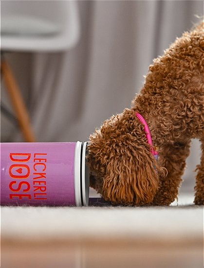 Love Pets Leckerli Dose von GiftCompany &#9733; Kundenbewertung "Sehr gut" &#9733; 10&euro; Rabatt für Neukunden &#9733; Schnell verschickt &#9733; Jetzt bei car-Moebel