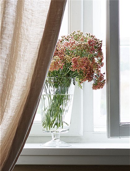 Vase Pokal von TineK Home &#9733; Kundenbewertung "Sehr gut" &#9733; 10&euro; Neukundenrabatt &#9733; Schnell verschickt &#9733; kaufen bei car-Moebel.de 