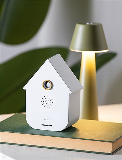 Soundbox modern cuckoo von Karlsson &#9733; Kundenbewertung "Sehr gut" &#9733; 12&percnt; Rabatt für Neukunden &#9733; Schnell verschickt &#9733; Jetzt bei car-Moebel.de