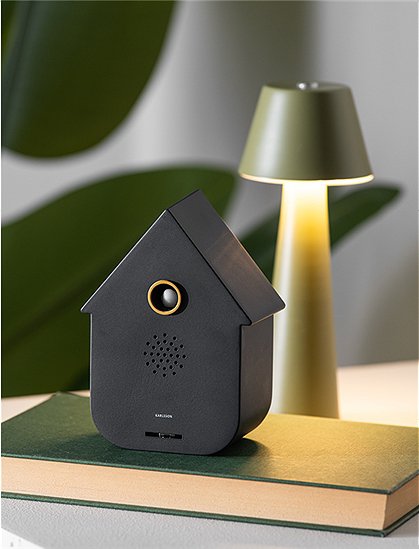 Soundbox modern cuckoo von Karlsson &#9733; Kundenbewertung "Sehr gut" &#9733; 12&percnt; Rabatt für Neukunden &#9733; Schnell verschickt &#9733; Jetzt bei car-Moebel.de