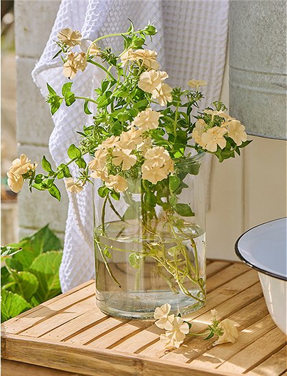 Glas Vase Hannah 20xØ14,5 von Ib Laursen &#9733; Kundenbewertung "Sehr gut" &#9733; 12&percnt; Rabatt für Neukunden &#9733; Schnell verschickt &#9733; Jetzt bei car-Moebel.de