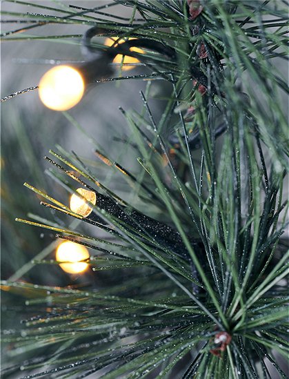 Tannenbaum von house doctor &#9733; Kundenbewertung "Sehr gut" &#9733; 10&euro; Rabatt für Neukunden &#9733; Schnell verschickt &#9733; Günstig bei car-Moebel.de