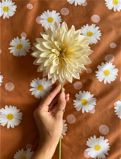 Bettwäsche Oopsie Daisy &#9733; Kundenbewertung "Sehr gut" &#9733; 10&euro; Rabatt für Neukunden &#9733; Schnell verschickt &#9733; Günstig bei car-Moebel.de