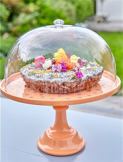 Kuchenständer Melamin rice &#9733; Kundenbewertung "Sehr gut" &#9733; 10&euro; Rabatt für Neukunden &#9733; Schnell verschickt &#9733; Jetzt günstig kaufen bei car-Moebel.de