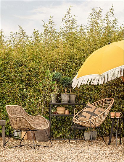 Sessel Frankie, Rattan outdoor braun v. woood &#9733; Kundenbewertung "Sehr gut" &#9733; 10&euro; Neukundenrabatt &#9733; Schnell verschickt &#9733; Jetzt kaufen bei car-Moebel.de