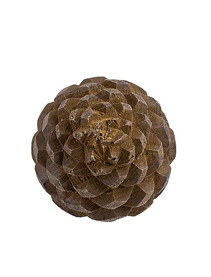 Möbelknopf von Wildlife Garden &#9733; Kundenbewertung "Sehr gut" &#9733; 12&percnt; Rabatt für Neukunden &#9733; Schnell verschickt &#9733; Günstig bei car-Moebel.de