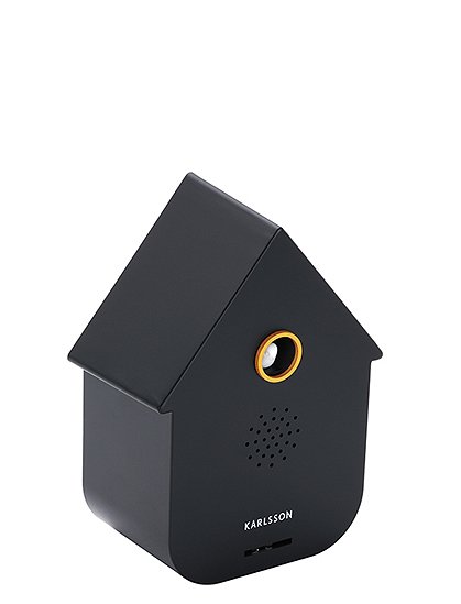 Soundbox modern cuckoo von Karlsson &#9733; Kundenbewertung "Sehr gut" &#9733; 12&percnt; Rabatt für Neukunden &#9733; Schnell verschickt &#9733; Jetzt bei car-Moebel.de