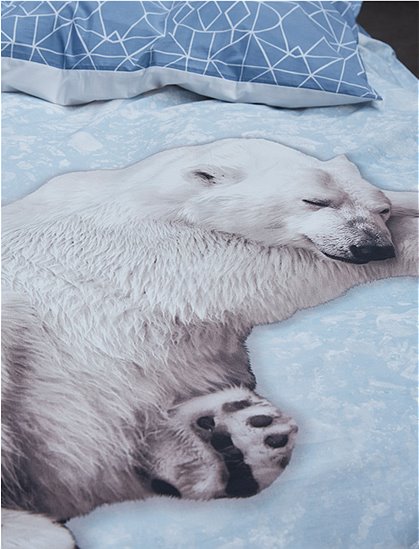 Eisbär Bettwäsche von COVERS & CO &#9733; Kundenbewertung "Sehr gut" &#9733; 10&euro; Rabatt für Neukunden &#9733; Schnell verschickt &#9733; Jetzt günstig kaufen bei car-Moebel.de