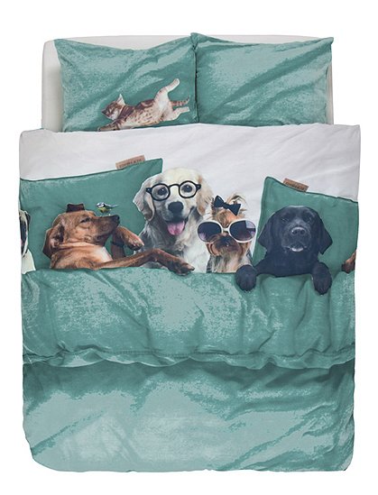 Entdecken Sie die Bettwäsche mit Hunde Aufdruck bei car-Moebel.de! Für echte Tierliebhaber ein Muß!