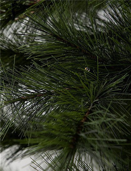 Weihnachtsbaum LED Peuce von house doctor &#9733; Kundenbewertung "Sehr gut" &#9733; 10&euro; Rabatt für Neukunden &#9733; Schnell verschickt &#9733; Günstig bei car-Moebel.de