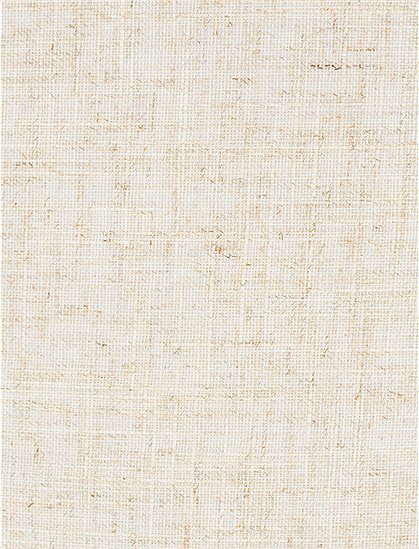 Stehleuchte Tripod, 157xØ50 cm von Zuiver ★ Kundenbewertung "Sehr gut" ★ 12&percnt; Rabatt für Neukunden ★ Schnell verschickt ★ Jetzt bei car-Moebel.de