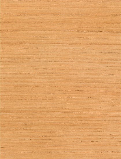 Stuhl Northwood von Zuiver &#9733; Kundenbewertung "Sehr gut" &#9733; 12&percnt; Rabatt für Neukunden &#9733; Schnell verschickt &#9733; Jetzt kaufen bei car-Moebel.de