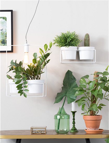 Wandhalter für Blumen &#9733; Kundenbewertung "Sehr gut" &#9733; 10&euro; Rabatt für Neukunden &#9733; Schnell verschickt &#9733; Jetzt günstig kaufen bei car-Moebel.de