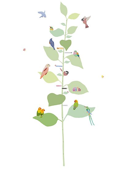 Messlatte "with the birds" von MIMI'lou &#9733; Kundenbewertung "Sehr gut" &#9733; 10&euro; Rabatt für Neukunden &#9733; Schnell verschickt &#9733; Günstig kaufen bei car-Moebel.de