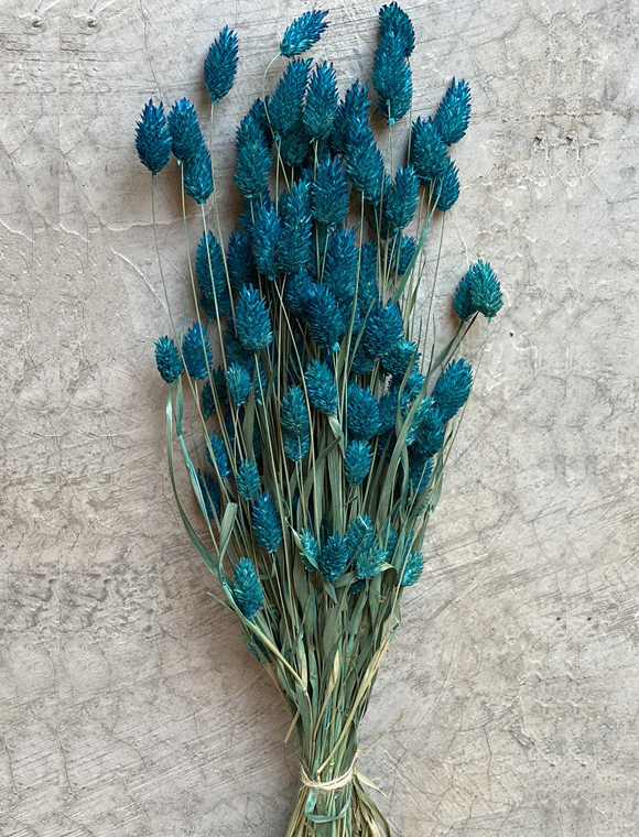 Trockenblumen Strauß &#9733; Kundenbewertung "Sehr gut" &#9733; 10&euro; Rabatt für Neukunden &#9733; Schnell verschickt &#9733; Jetzt günstig kaufen bei car-Moebel.de