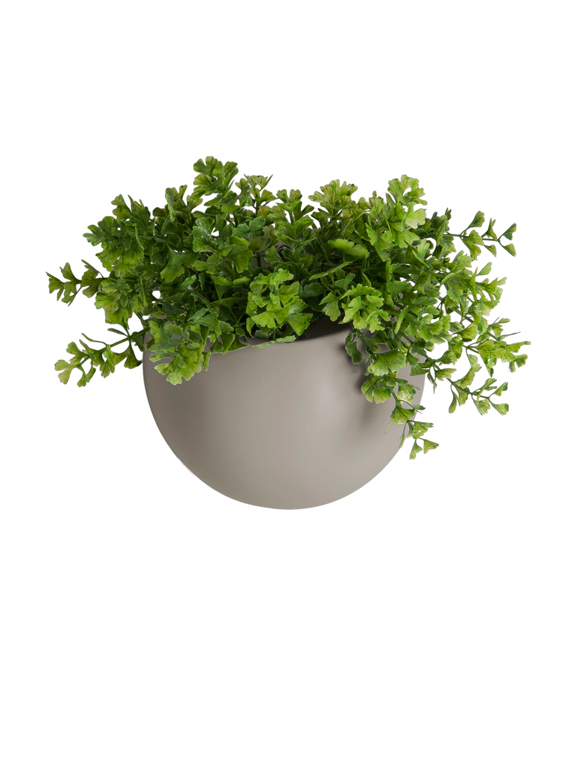 Blumentopf Globe für die Wand von present time &#9733; Kundenbewertung "Sehr gut" &#9733; 10&euro; Rabatt für Neukunden &#9733; Jetzt günstig kaufen bei car-Moebel.de