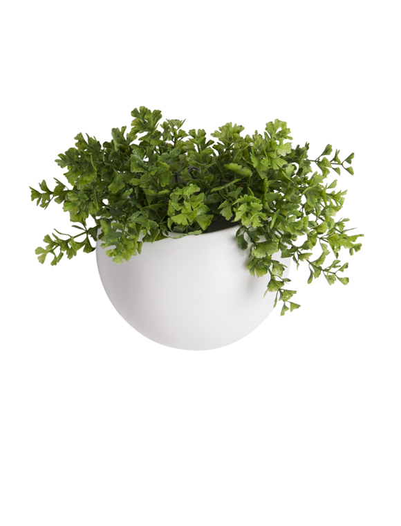 Blumentopf Globe für die Wand von present time &#9733; Kundenbewertung "Sehr gut" &#9733; 10&euro; Rabatt für Neukunden &#9733; Jetzt günstig kaufen bei car-Moebel.de