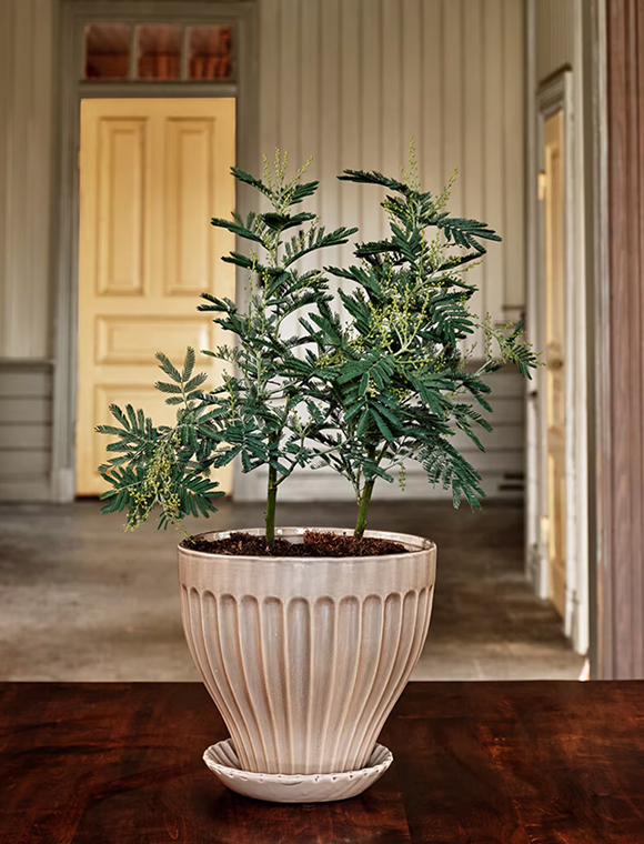 Blumentopf Anna 23xØ25 cm von Strömshaga &#9733; Kundenbewertung "Sehr gut" &#9733; 12&percnt; Rabatt für Neukunden &#9733; Schnell verschickt &#9733; Jetzt bei car-Moebel.de