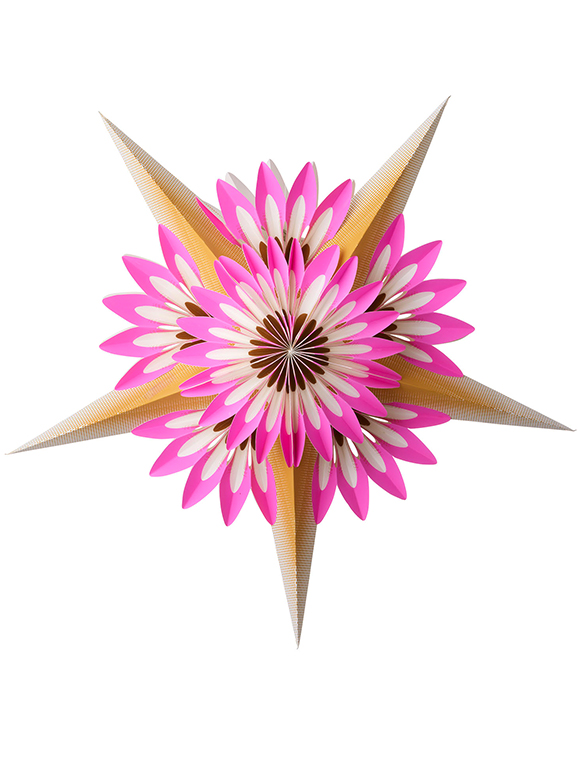 Papierstern von Bungalow &#9733; Kundenbewertung "Sehr gut" &#9733; Gratis-Versand ab 49 &#8364; &#9733; Schnell verschickt &#9733; Top Qualität, Superpreis!